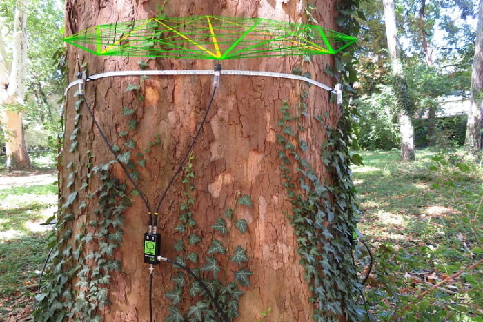 Alat Uji Pohon ArborSonic 3D Acoustic Tomograph FAKOPP - Image 2