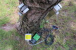 DynaTree Root And Trunk Testing System - Image 4