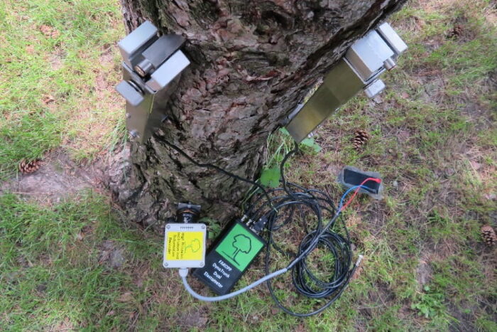 DynaTree Root And Trunk Testing System - Image 4