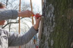 Pulling Test - Image 2