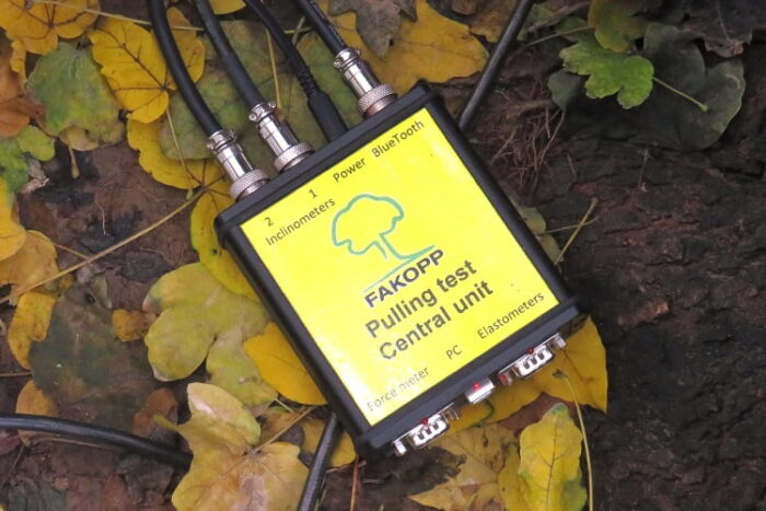 Pulling Test - Image 3