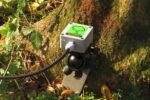 Pulling Test - Image 6