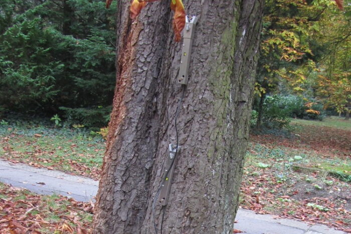 Pulling Test - Image 7