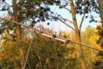 Pulling Test - Image 8