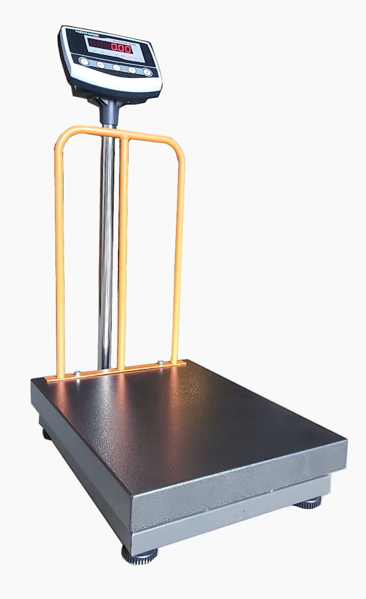 BS-MSF-XD LED DOUBLE DISPLAY - 450X600 - 150KG/300KG